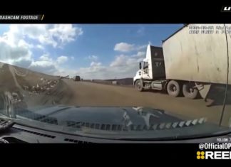 Triple Play | Trash Dump Chase