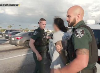 Arrested in Traffic